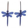 Dragonfly, purple with black stripes, blue wings