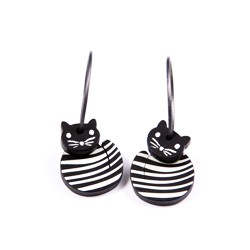 Cat, round, black w white...